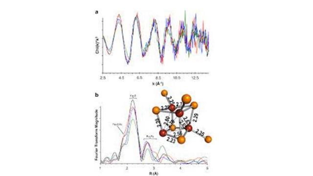 Phase transformation and pathways of geological materials 