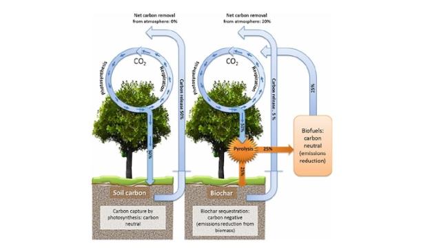 An illustration of carbon removal from soil carbon and biochar