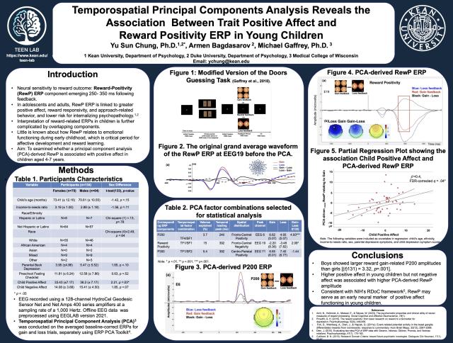 Temporospatial Principal Components Analysis Poster